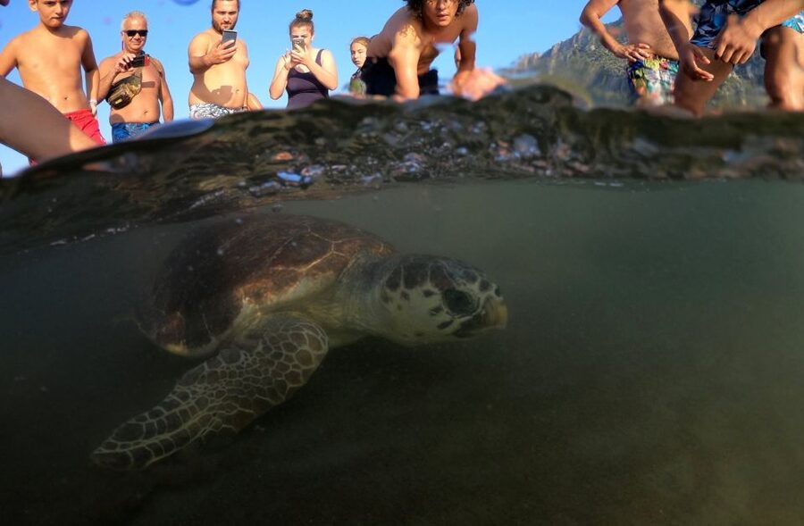 Marmaris: Dalyan Turtle Beach Tour with Mud Bath & Lunch - Timing and logistics: how the 10-hour schedule feels in real life
