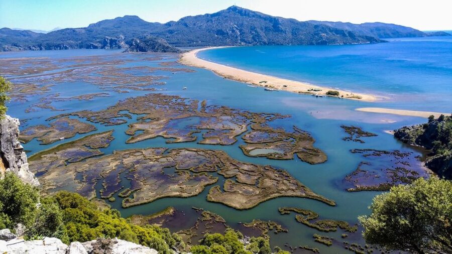 Marmaris: Dalyan Turtle Beach Tour with Mud Bath & Lunch - Extra food and upgrades: blue crab and fish menus for Lira