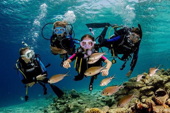 Marmaris Full Day Scuba Diving Two Dives With Lunch Hotel pickup - Key highlights you should know