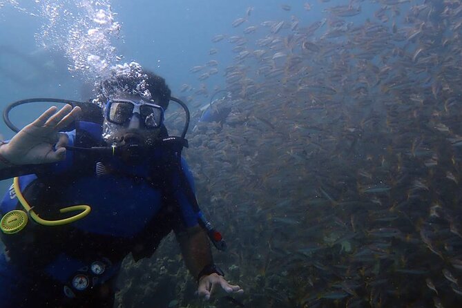 Marmaris Full Day Scuba Diving Two Dives With Lunch Hotel pickup - Hotel-to-harbor transfers that keep your day simple