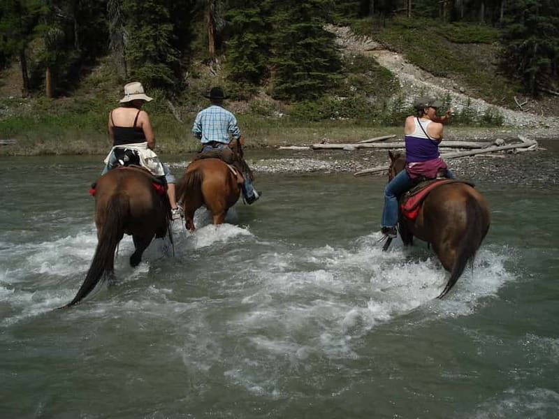 Marmaris: Horse Riding & Safari with Hotel Transfer - Key Things I’d Actually Tell a Friend