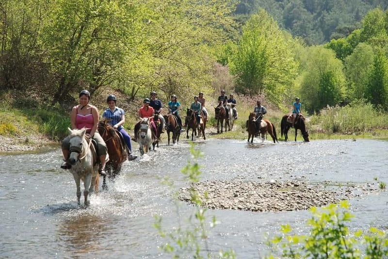 Marmaris: Horse Riding & Safari with Hotel Transfer - Hotel Pickup to the Ranch: Fast, Simple Start