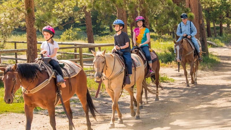 Marmaris: Horse Riding & Safari with Hotel Transfer - The Horse Safari: Pine Forests, Orange Groves, and Village Views