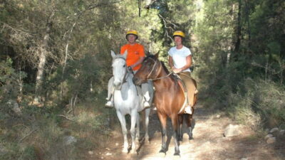 Horse Riding & Safari with Hotel Transfer