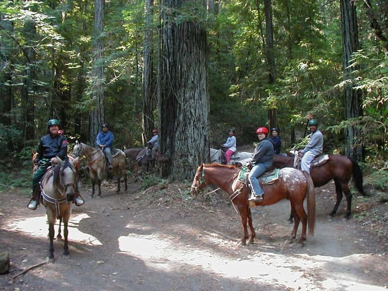 Marmaris: Horse Riding & Safari with Hotel Transfer - Time on the Horse: What the 3 Hours Looks Like in Real Life