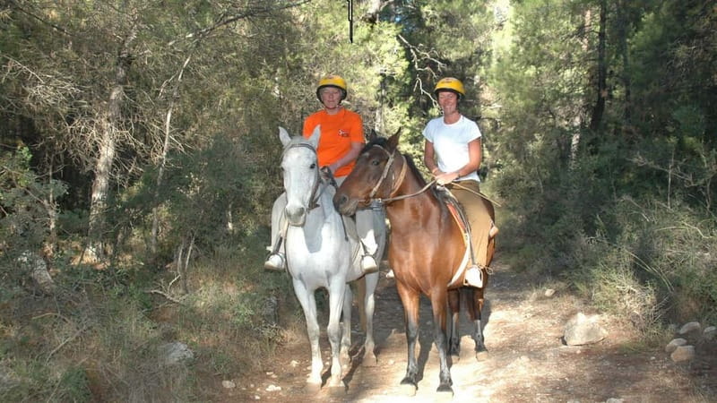 Marmaris: Horse Riding & Safari with Hotel Transfer - At the Farm: Safety Briefing, Animal Time, and Real Family Fun