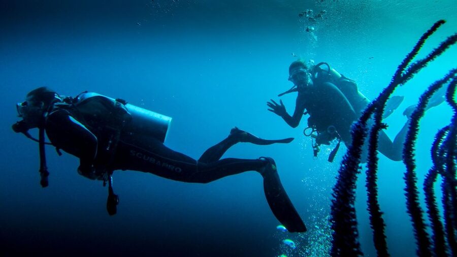 Marmaris: Scuba Diving Experience with 2 Dives and Lunch - Marmaris and Your First Day in the Water