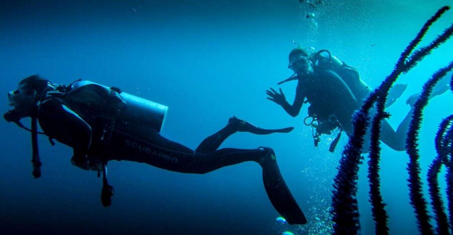 Marmaris: Scuba Diving Experience with 2 Dives and Lunch - The 6-Hour Timeline, Step by Step