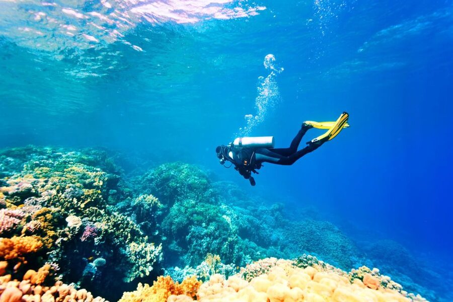 Marmaris: Scuba Diving Experience with 2 Dives and Lunch - Small Groups, Real Training, and Safety Style