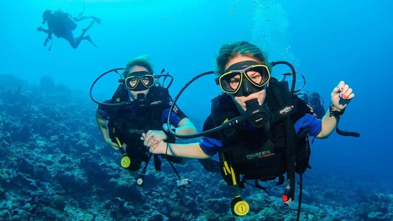 Marmaris: Scuba Diving, Incl. 2 Dive, Lunch w/Hotel Transfer - Best Fit: Who Should Book This Marmaris and Icmeler Scuba Day?