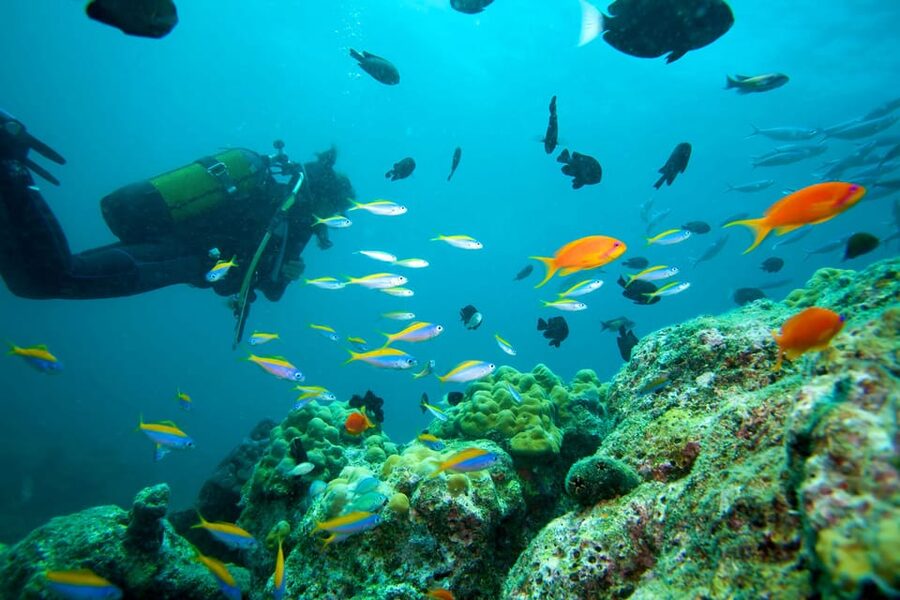 Marmaris: Scuba Diving with a Qualified Instructor - Marmaris Water Conditions: Why the Aegean Channel Matters