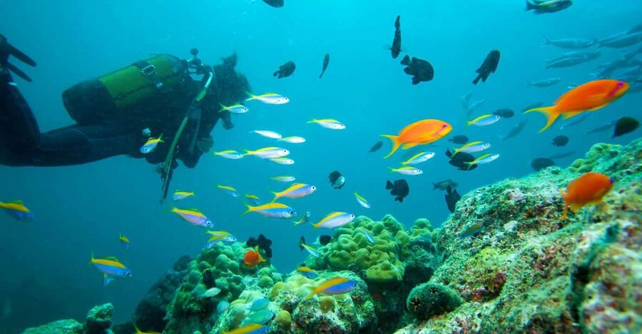 Marmaris: Scuba Diving with a Qualified Instructor - Two 30-Minute Underwater Sessions: Learning First, Exploring Second
