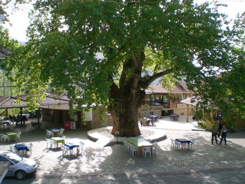 Marmaris Village Tour, Turgut Waterfalls and Mermaid Sand - Orhaniye Mosque Visit, Understanding Rural Faith and Daily Life