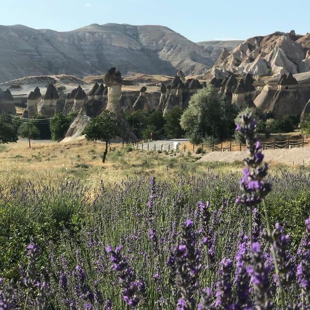 Mochiron Tour Full day Cappadocia With Japanese Guide - Devrent Valley, Imagination Valley and the Mushroom Rock Moment