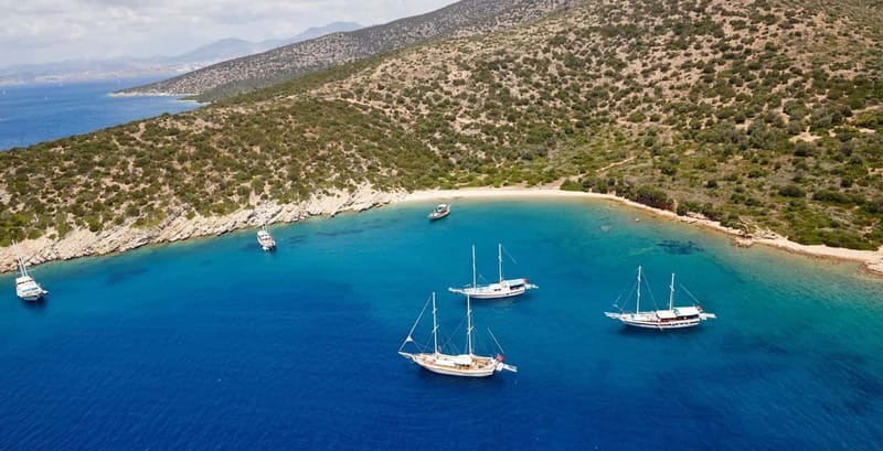 Orak island Boat Trip Bodrum - Your cruise route: Orak Island, German Bay, Rabbit Cape, Poyraz Beach