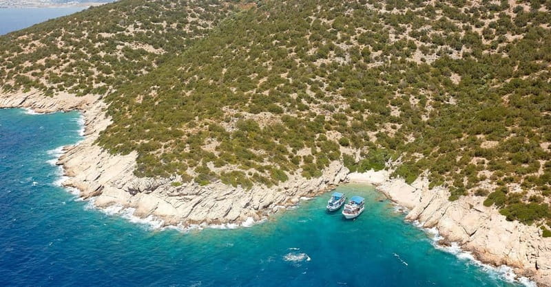 Orak island Boat Trip Bodrum - Snorkeling in natural water: what you should plan for