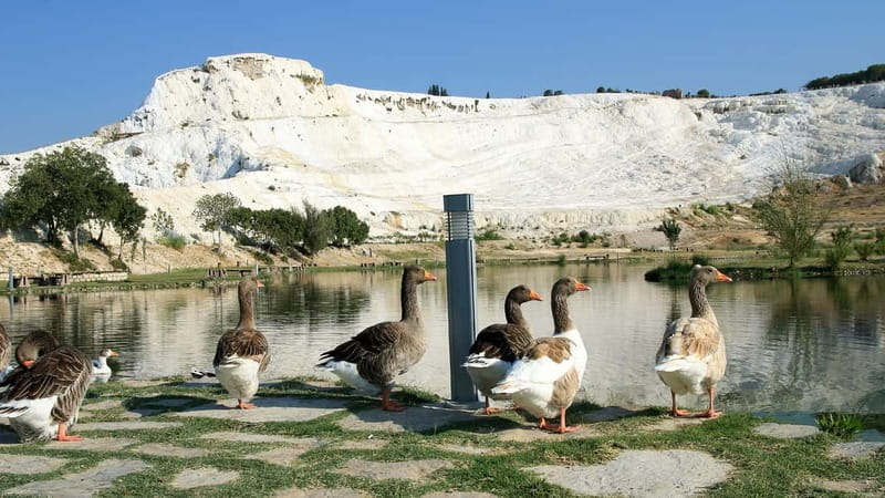 Pamukkale and Hierapolis: Full-Day Private or Group Tour - What to bring so the day feels easy, not miserable