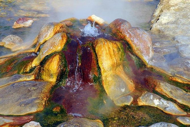 Pamukkale, Cleopatra’s pool, Hieropolis from Antalya with lunch - Should you book it? My practical verdict