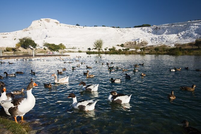 Pamukkale&Hierapolis Tour With Lunch From Antalya - Cleopatra’s Pool, the 36°C thermal spring and the extra ticket reality