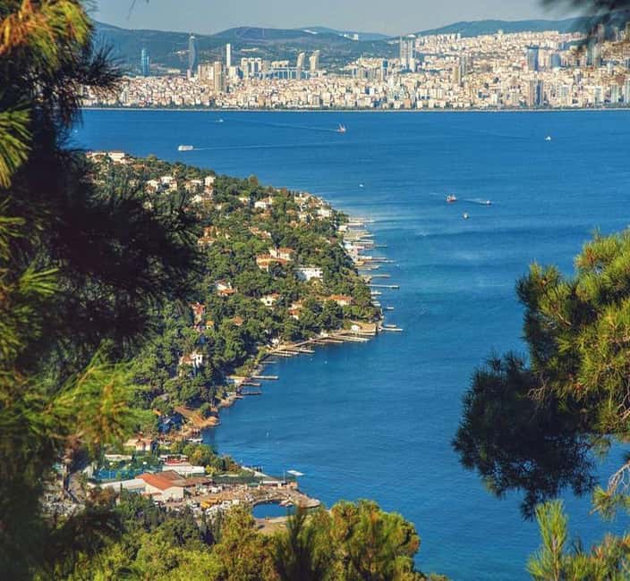 Princes Island Full Day Tour - Heybeli or Kınalı & Büyükada - Morning Logistics, Comfort, and the Best Way to Start