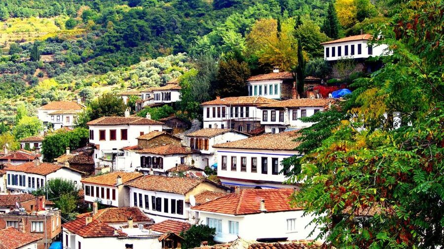 Private Sirince Village Tour From Kusadasi Port Cruiser Only - Who this tour fits best