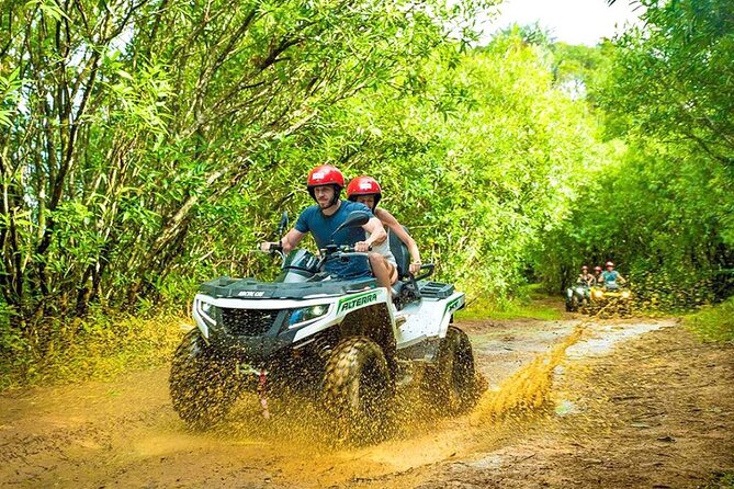 Quad Biking in Antalya Forests & Taurus Mountains - Vehicle choice and group fit: quad bikes and buggies