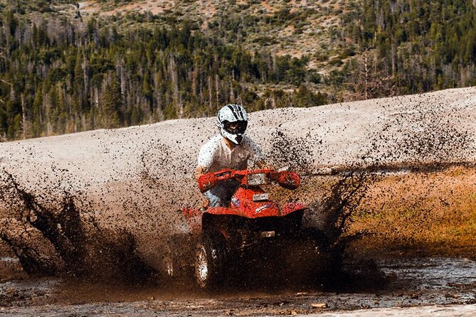 Quad Safari Experience in Alanya (Adventure Tour) w/ Free Hotel Transfer - Safety briefing and practice laps: fast learning, then real riding