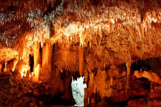 Sapadere Canyon & Waterfall Tour w. Lunch & Transfer from Alanya - The Taurus Mountains tea stop: a quick cultural warm-up