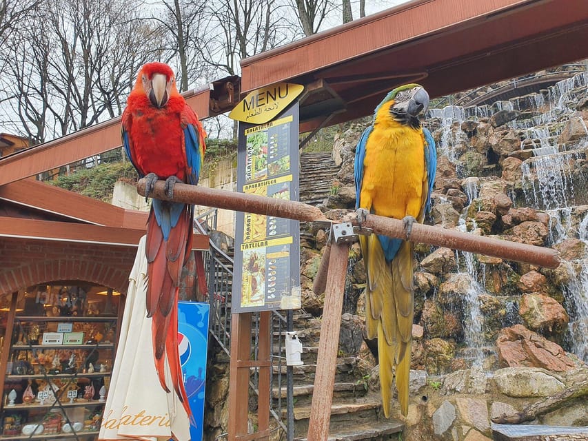 Sapanca Maşukiye tour from Istanbul - Guided sightseeing, and what language support actually helps