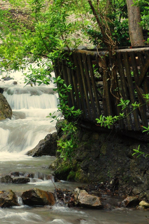 Sapanca Maşukiye tour from Istanbul - Should you book Sapanca and Maşukiye from Istanbul?