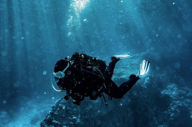 Scuba Diving Experience in Alanya With Lunch and 2 Dives - A two-stop scuba day from Alanya, designed for first-timers