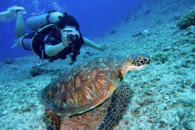 Scuba Diving Experience in Alanya With Lunch and 2 Dives - Stop 2: a second site that lets you relax, not rush