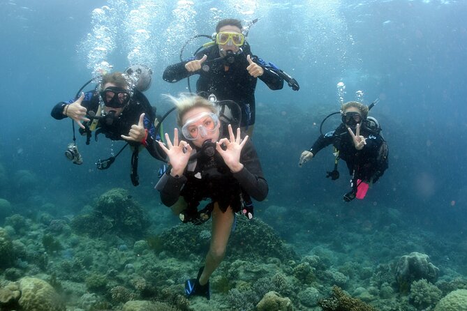Scuba Diving in Antalya from Antalya & Kemer - What you might see: rocky bay water, fish spotting, coral opportunities, and jellyfish