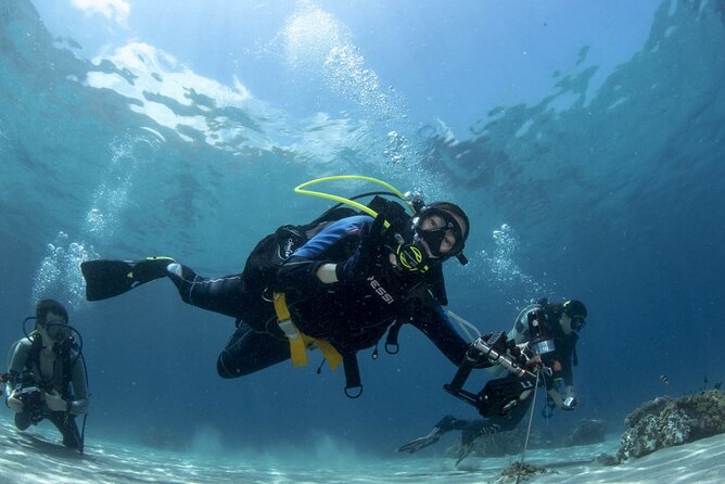 Scuba Diving Tour - Price and what you actually get for $54.19