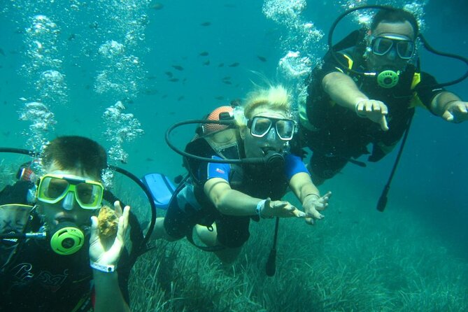 Scuba Diving Tour - Instruction style: how first-timers stay comfortable