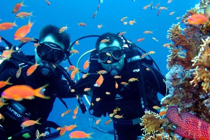 Scuba Diving Tour - Lunch on board: simple, helpful, and part of the pacing