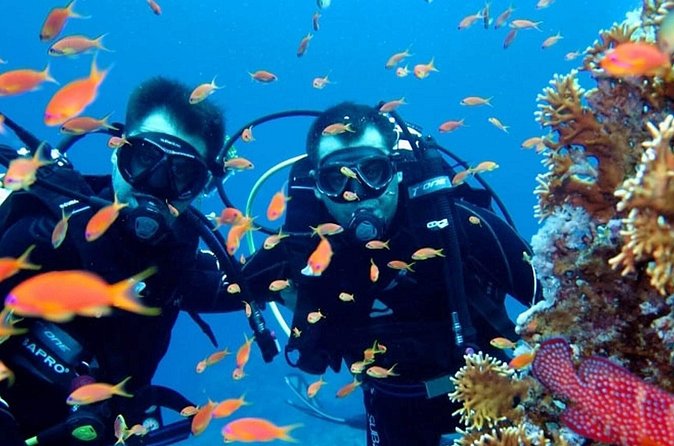 Scuba Diving Tour - What to bring for a comfortable day on the boat