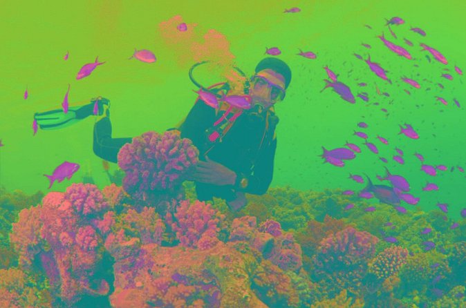 Scuba Diving Tour - Gear and equipment: use what is offered, or bring your own