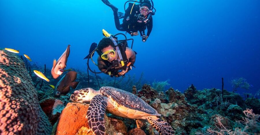 Scuba Diving Tour with Transfer From Alanya and city of Side - First Underwater Session: Gentle Descent and a Fish-Feeding Moment