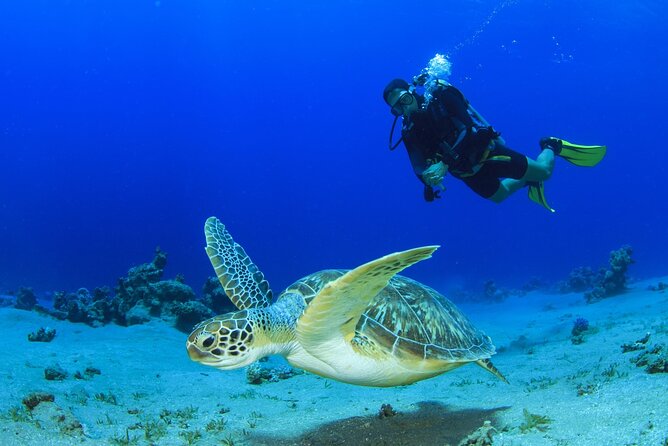 Scuba Diving Tour - Two underwater sessions, plus a real break on the Mediterranean
