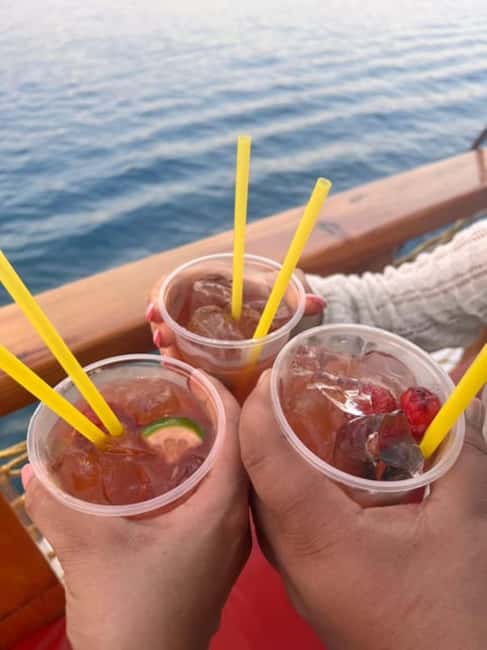Side Dolphin Island Boat Trip with Lunch & Swim Stops - Key things I’d zero in on before you go