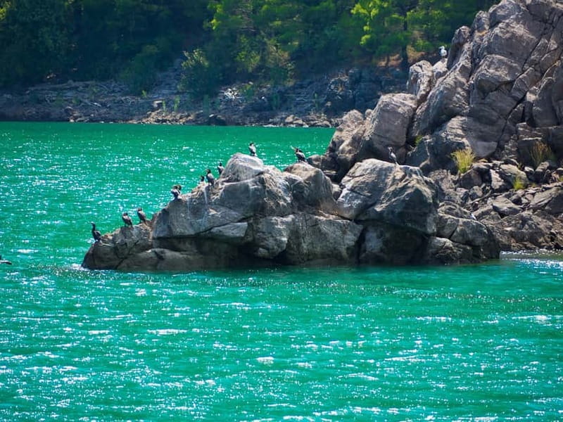 Side: Green Canyon Boat Trip with Lunch near Green Lake - The people and onboard vibe: guide help, music, and safety notes