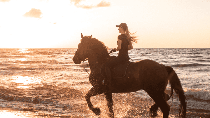 Side: Horseback Riding Tour in Nature - Key things I’d notice before booking
