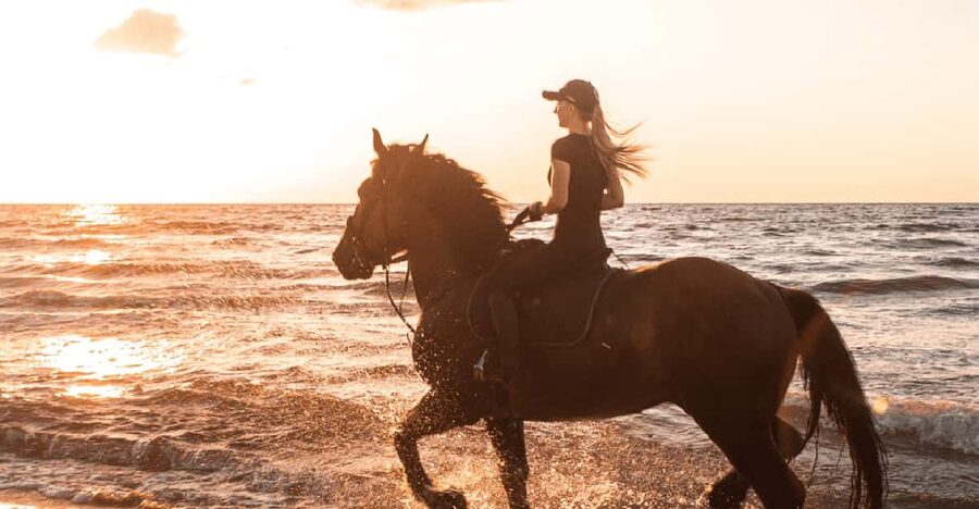 Side: Horseback Riding Tour in Nature - Where the Side horseback experience actually fits