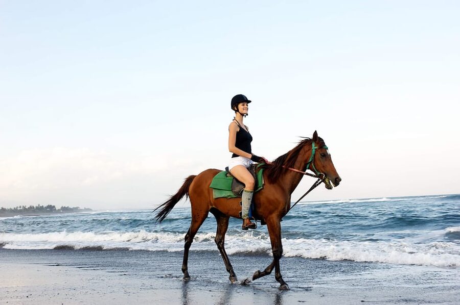 Side: Horseback Riding Tour in Nature - Transfers, small-group feel, and what the guide is actually doing