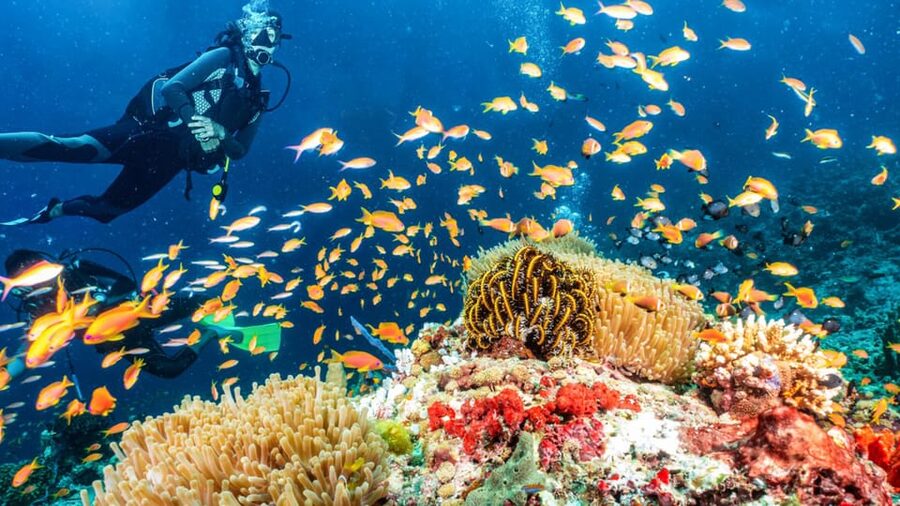 Side: Scuba Diving Tour Journey To The Depths Of The Blue - Why Side’s Underwater Museum works for first-timers and photographers