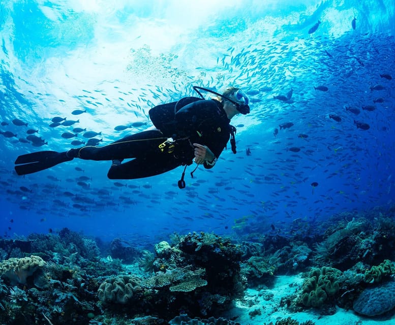 Side: Scuba Diving Tour Journey To The Depths Of The Blue - Photos, DVDs, and how to get the best keepsakes without overspending