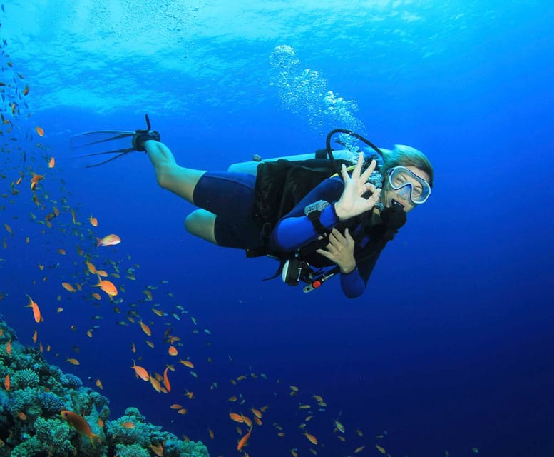 Side: Scuba Diving Tour Journey To The Depths Of The Blue - Who should book this scuba tour in Side