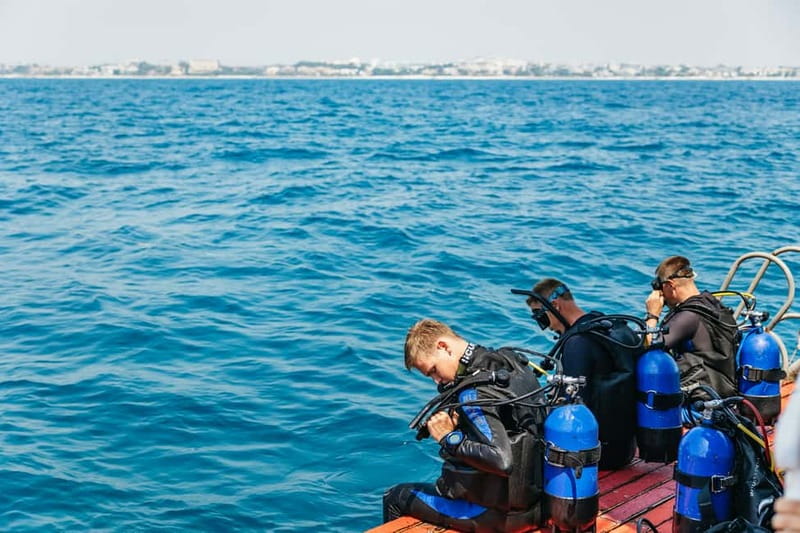 Side: Scuba Diving, Underwater Museum, 2 Dives incl. Lunch - Quick take: the parts that matter most