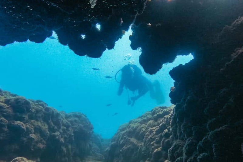 Side: Scuba Diving, Underwater Museum, 2 Dives incl. Lunch - Instruction that reduces stress fast, for beginners and returning divers
